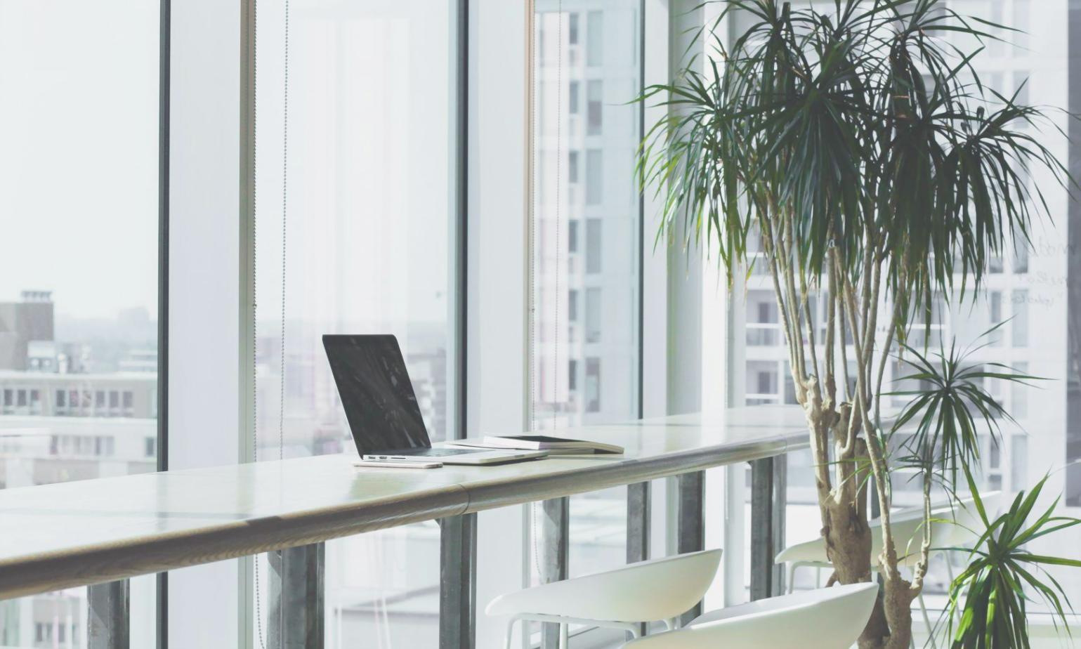 Komparativní analýza konkurence v odvětví